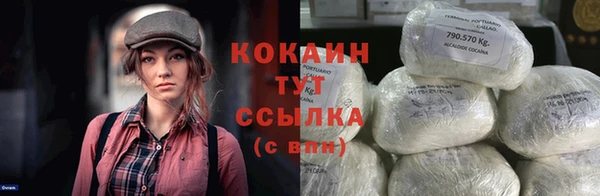 индика Галич