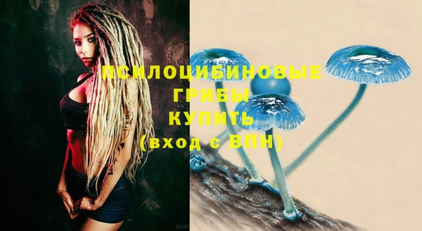 соль курить ск Осинники